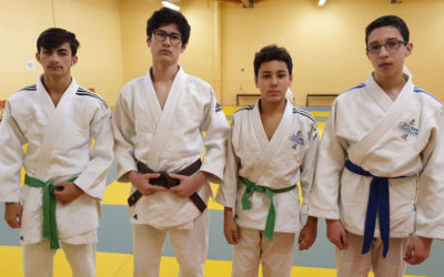 Tournoi Saint-Georges sur Eure 2019